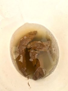 POTE SCAT