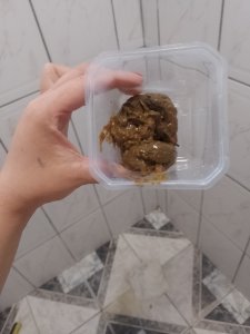 Pacote Scat+ pote da felicidade 