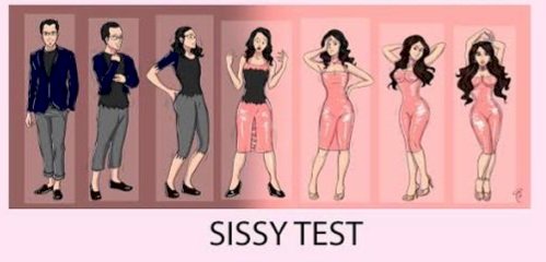 Sissy test (quiz)