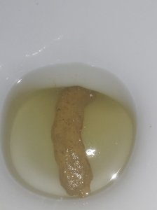 Mini tora de chocolate 