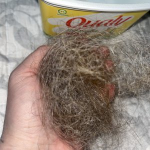 Cabelo da escova e do ralo no pote 