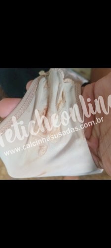 Lote de calcinhas