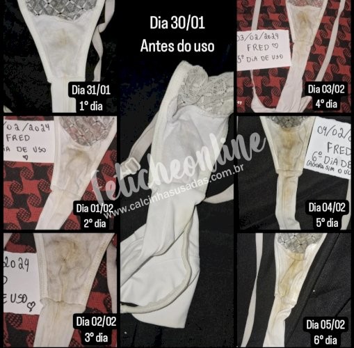 Panty / Lingerie Fetish: Calcinhas usadas por quanto tempo você quiser + conteúdo virtual incluso + frete grátis acima de R$200,00!