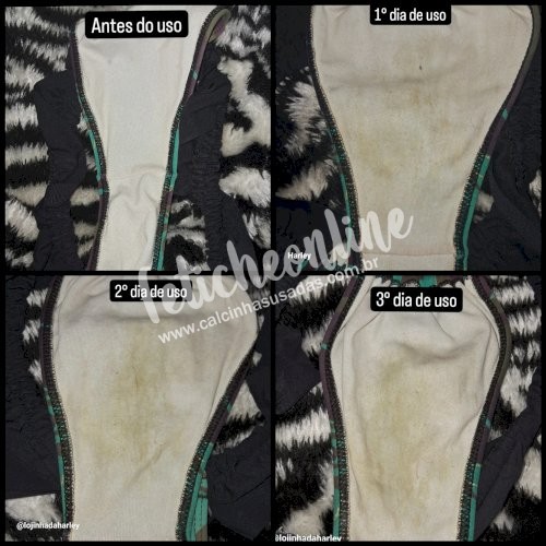 Panty / Lingerie Fetish: Calcinhas usadas por quanto tempo você quiser + conteúdo virtual incluso + frete grátis acima de R$200,00!