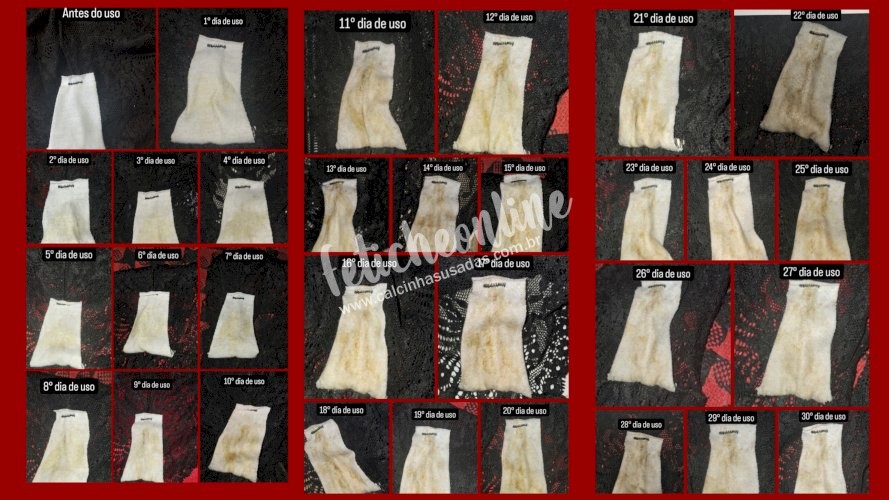 Panty / Lingerie Fetish: Calcinhas usadas por quanto tempo você quiser + conteúdo virtual incluso + frete grátis acima de R$200,00!