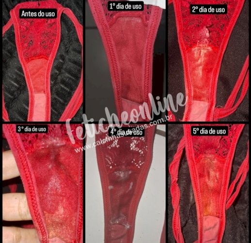 Panty / Lingerie Fetish: Calcinhas usadas por quanto tempo você quiser + conteúdo virtual incluso + frete grátis acima de R$200,00!
