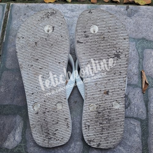 Podolatria: Meias, Pelinhas raspadas do pé, Havaianas e Tênis usados por quanto tempo você quiser + conteúdo virtual incluso + frete grátis acima de R$200,00!