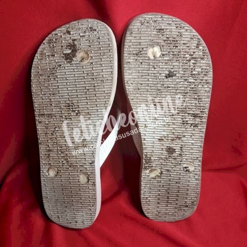 Havaianas usadas por quanto tempo você quiser + conteúdo virtual incluso + frete grátis acima de R$200,00!