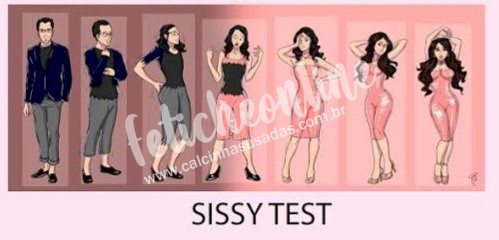Sissy test (quiz)